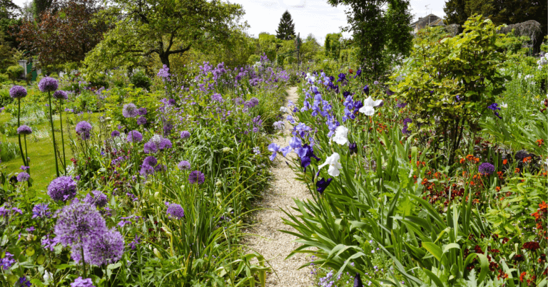 Sustainable Hardscaping for an Earth-Wise Garden