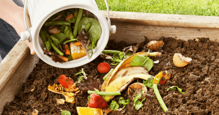 Where to Find Compost for Community Gardeners