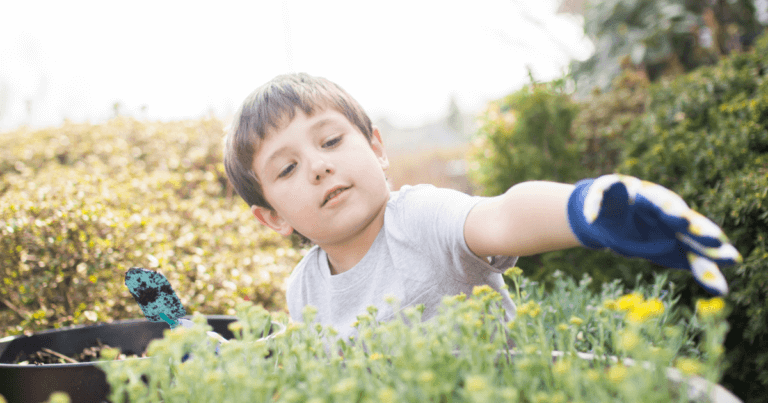 Gardening and Sustainability Lessons for Kids