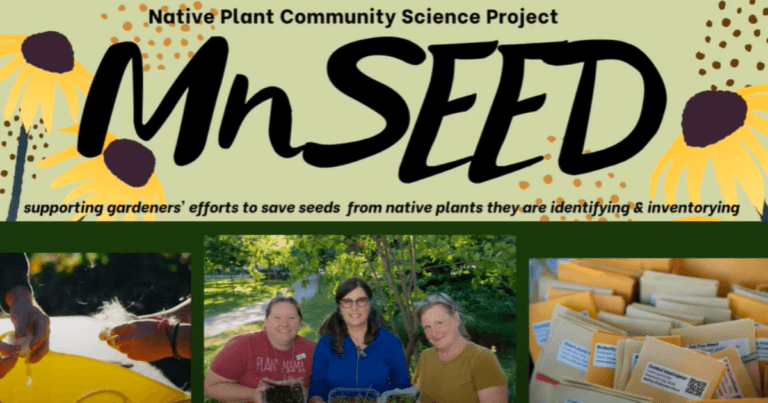 MN SEED Project 2021 Season Recap