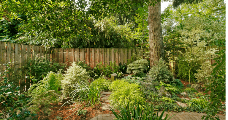How to be a Backyard Hero Webinar