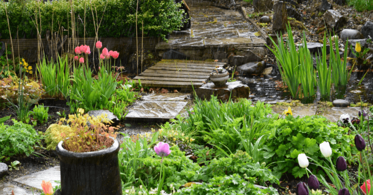 Rain Gardens Slow Water/Add Beauty to Landscape