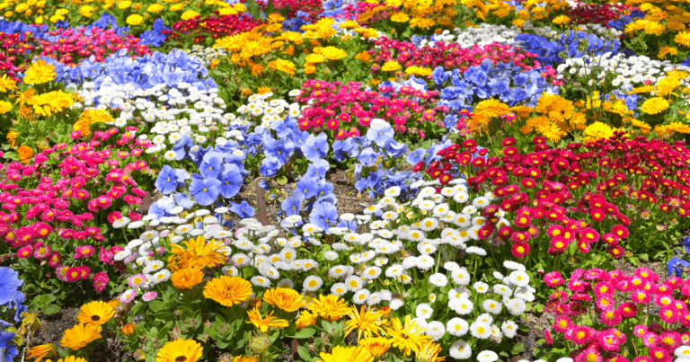 Pollinator Conservation Resources: Great Lakes Region