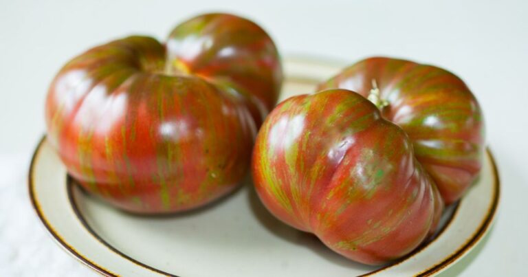 Garden Delights: Striped Tomatoes