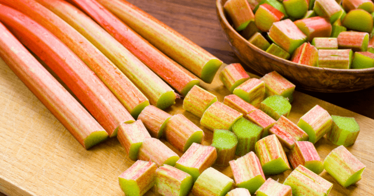 Easy Rhubarb Syrup (for drinks!)