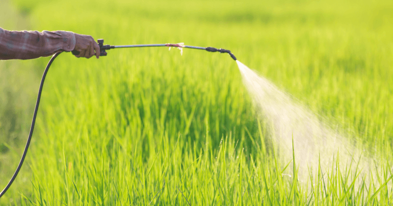 Guide on Organic, Homemade, and Agricultural Alternatives to Garden Chemicals.