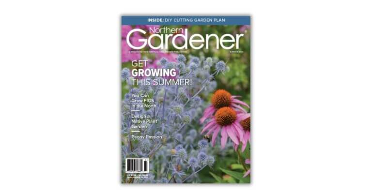 Summer Northern Gardener® Packed with Ideas