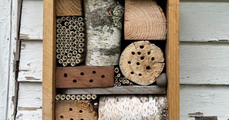 Mason Bees and the Houses They Live In
