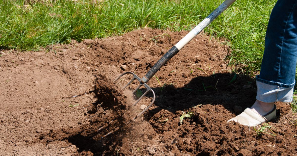5 Reasons You Need a Pitchfork in the Garden - Minnesota State  Horticultural Society