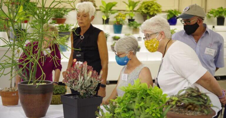 People attending the potted plant show.