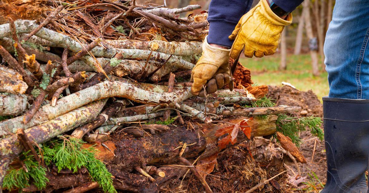 Hugelkultur building