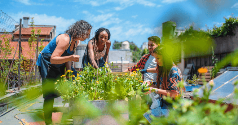 A group of community gardeners gather in an urban setting