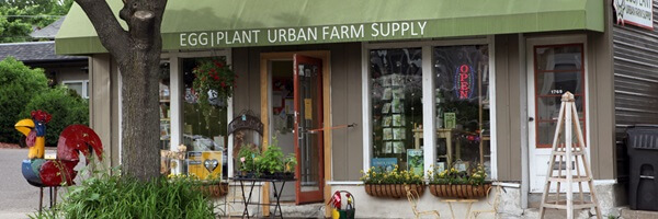 Egg Plant Urban Farm Supply