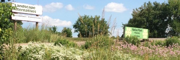 Landscape Alternatives