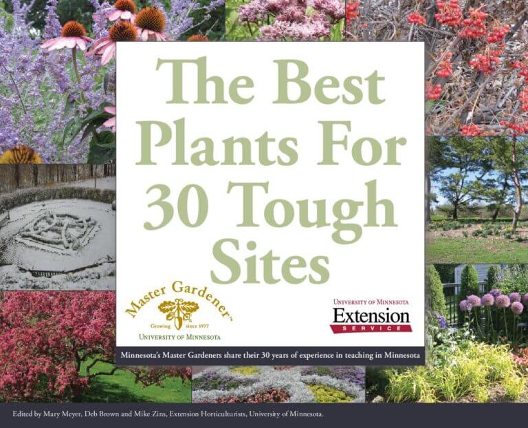 The Best Plants for 30 Tough Sites