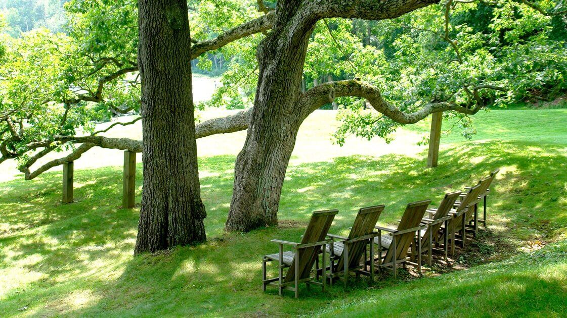 C. Colston Burrell Garden & Nature Tours