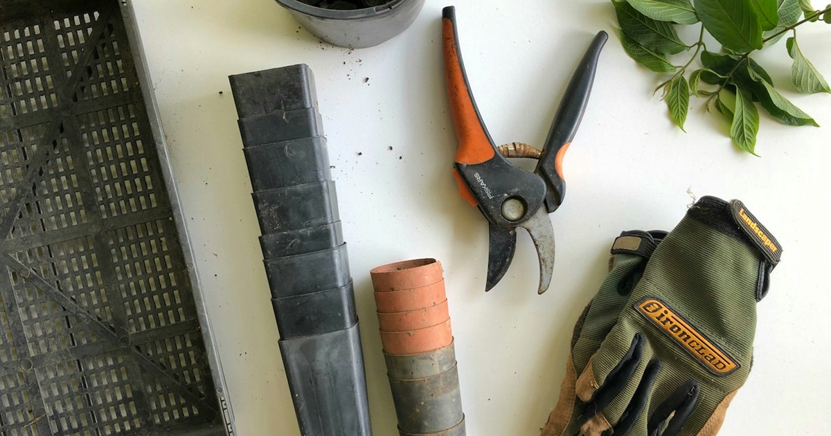 Tool Care Workshop [In-Person] - Minnesota State Horticultural Society