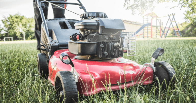 Borrowing yard and garden tools is more sustainable for you and the environment: the Minnesota Tool Library can help!