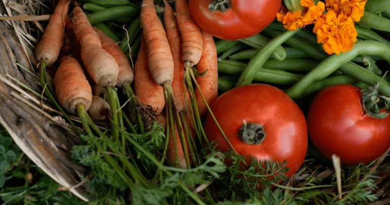 Garden vegetables, including carrots, tomatoes, beans, and marigold flowers