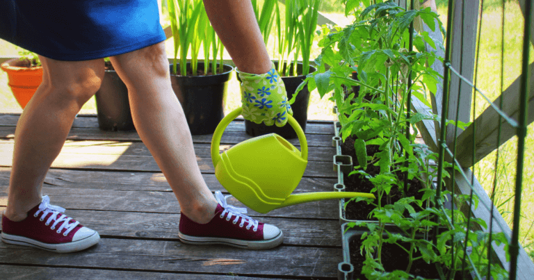 Person watering vegetables in containers on a deck.