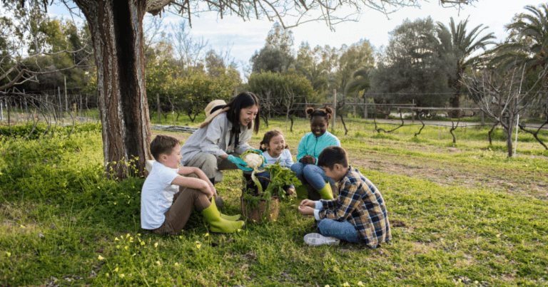 Sustainable Gardening with Kids Activities