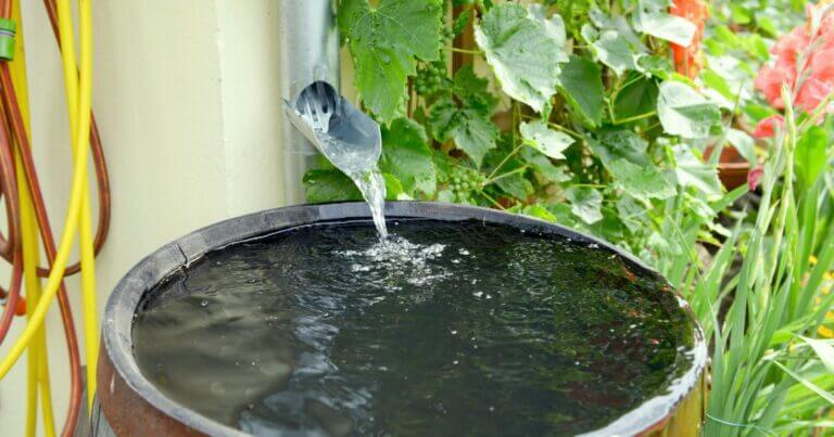 rain barrels blog feature