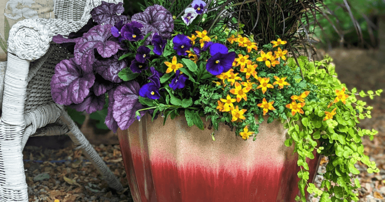 How to Create an Autumn Planter
