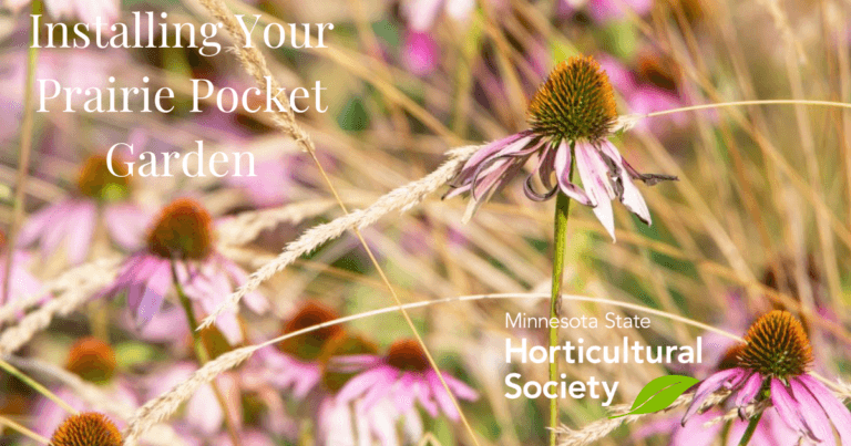 Replace Part of Your Lawn with a Prairie Pocket Garden and Help Pollinators
