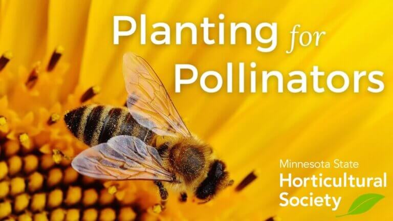 Planting for Pollinators