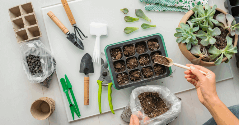 Houseplant 101