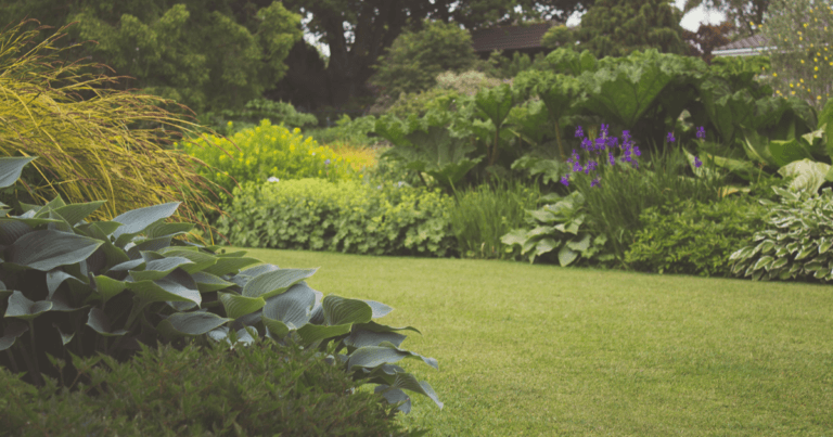 Plant Selection for Upper Midwest Landscapes: Plant Elements of Design Database
