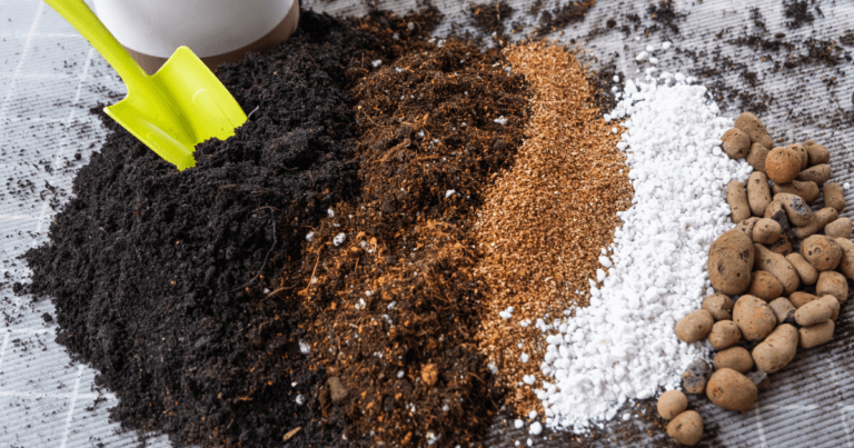 Make Your Own Inexpensive Potting Mix at Home