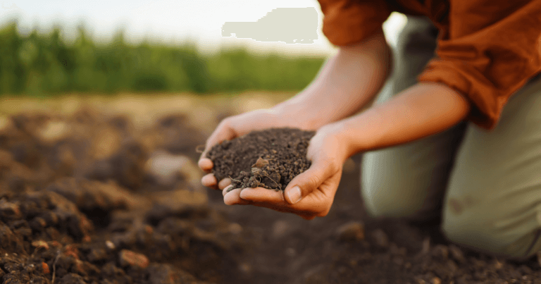 Soil Texture: What Texture is Your Garden Soil?
