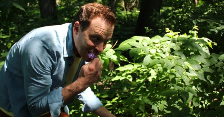 Alan Bergo foraging for dame's rocket
