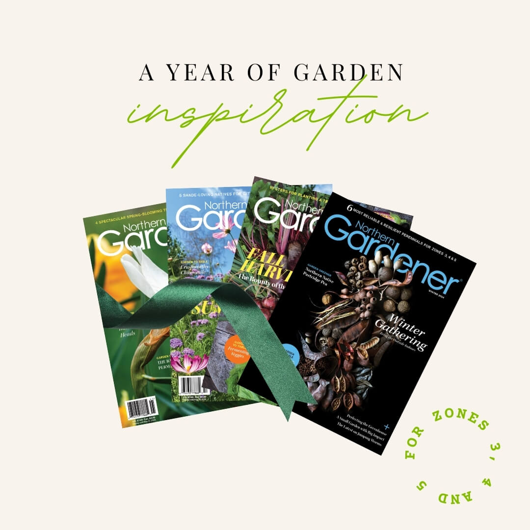 A year of garden inspiration