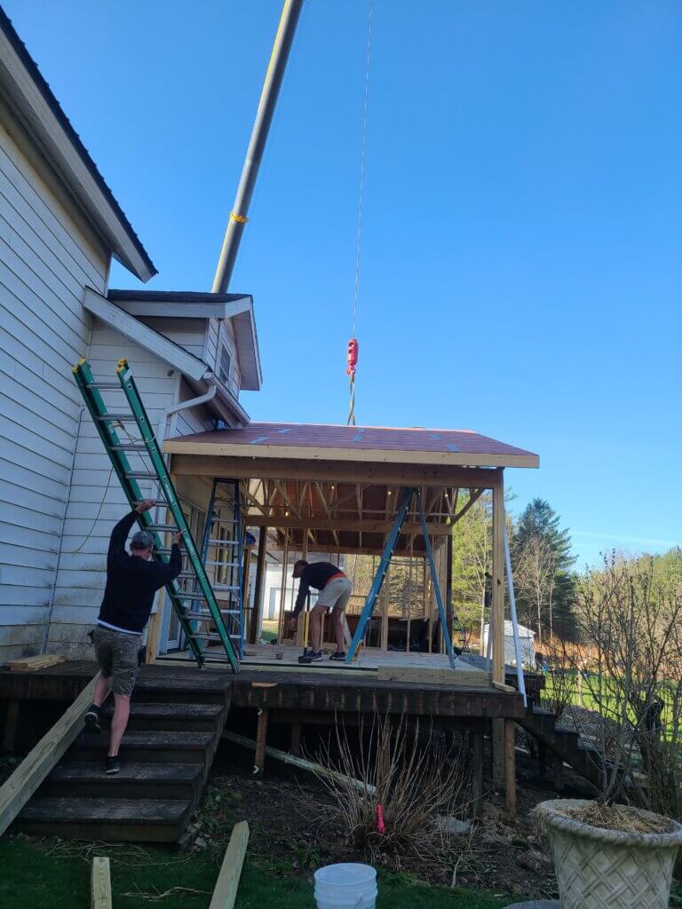 A hydrangea flagged for removal