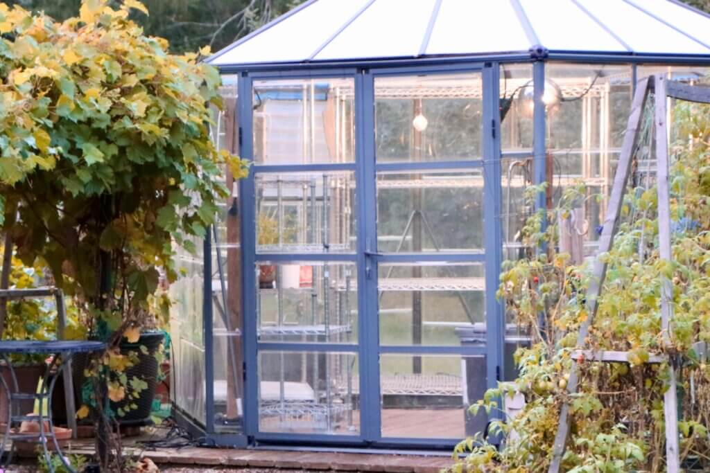 Nick’s greenhouse showing sensor hanging from ceiling