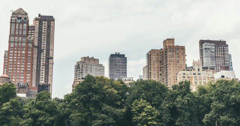 Small forest at the foot of a city.