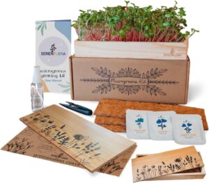Microgreens kit
