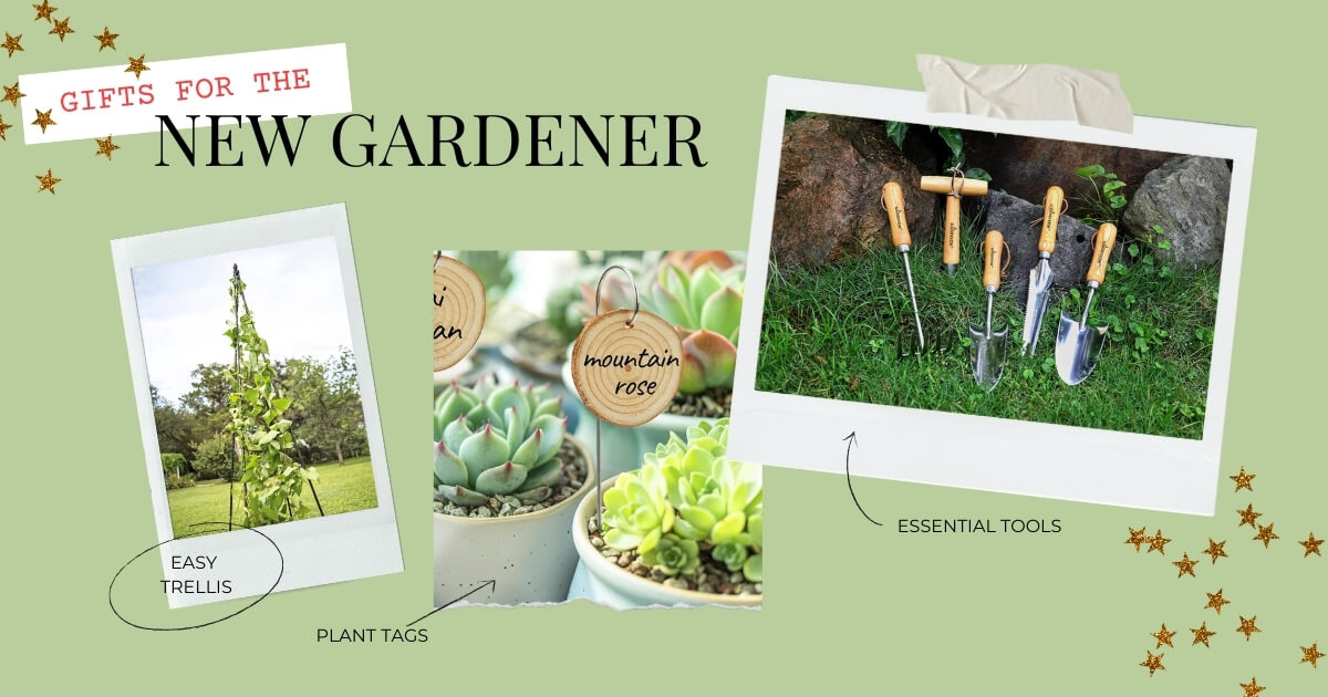 Gift Ideas for New Gardeners