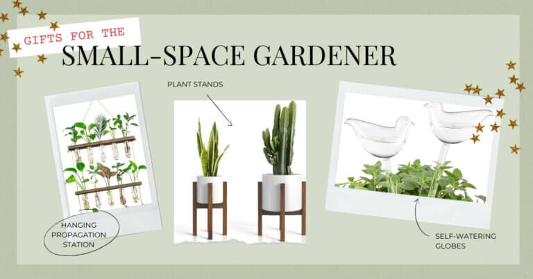 Small Space Gardeners