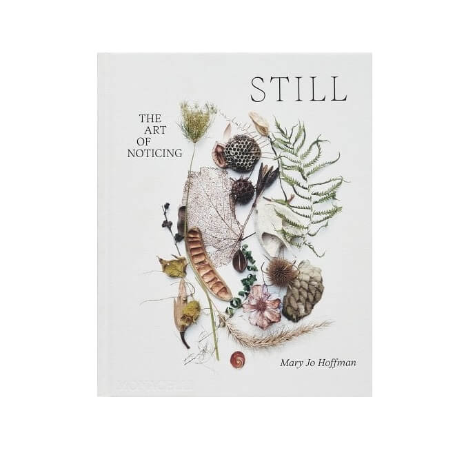 STILL by Mary Jo Hoffman