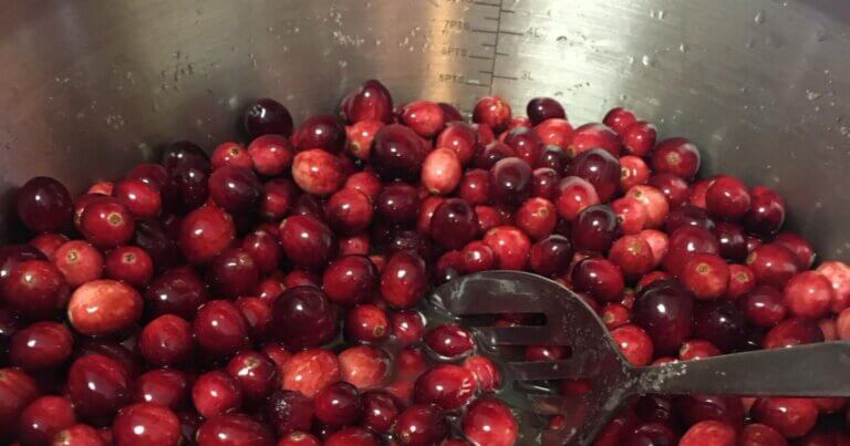 Cranberry shrub