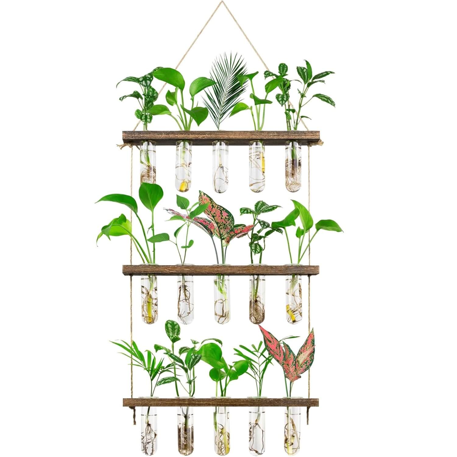 Three tiered propagation station