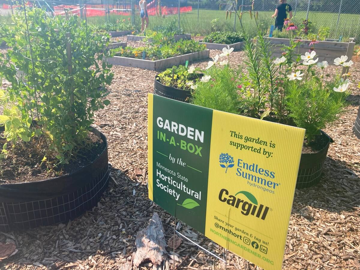 Backyard Adventure Days 2024 Site Visit