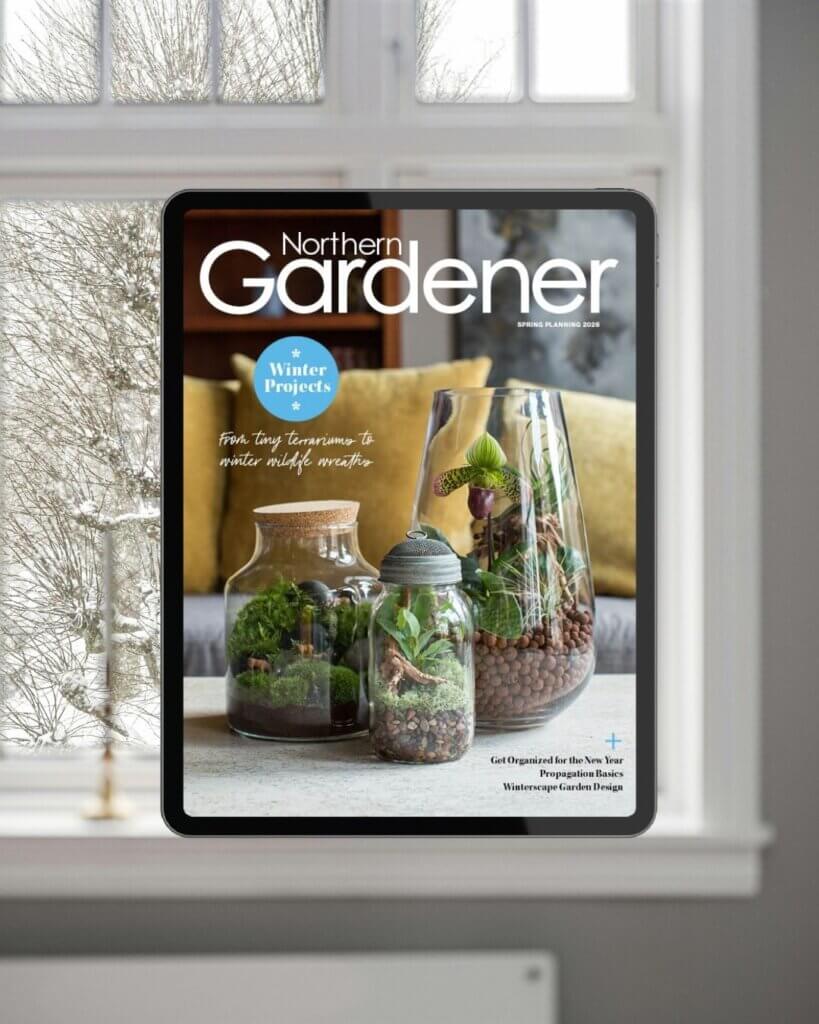 Spring Planning Issue