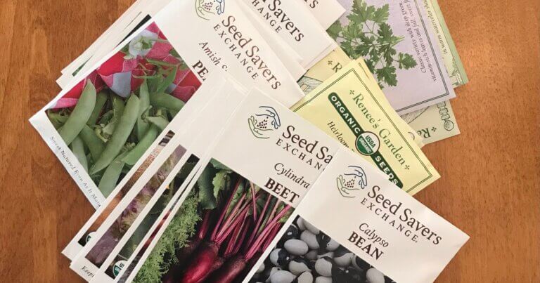 Packets of seeds on a table