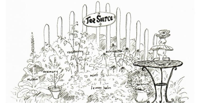 Tea source garden illustration