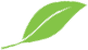 Leaf Icon