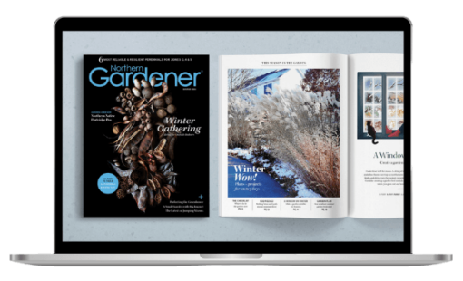 Northern gardener on a laptop